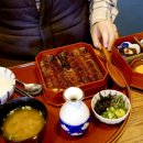 미친장어 이미지