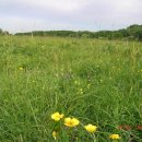 모스가든 이미지