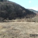 좋은인연부동산 공인중개사사무소 이미지