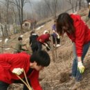 희망나무심기3 이미지