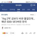 '1kg 2억' 금보다 비싼 물질인데…매년 500t 내다버린 한국 이미지