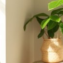 우리아이아동병원 이미지