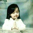 언주초등학교 이미지