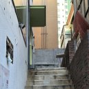 청미래농장 | [합정] 합정역 칼국수 맛집 칼국수바 지리 | 강추하는 후기