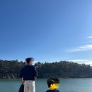 비응남로 이미지