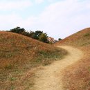 대구 불로동 고분군 (大邱 不老洞 古墳群) - 만추의 산책 이미지