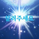 [PUMA] 푸마 패딩 신발 슬리퍼 터프 패디드 플러스 슬립온 샌드:그레이(392836-03)240 사이즈 내돈내산...