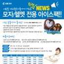 모자/헬멧 전용 대패 아이스팩 판매시작합니다. 이미지