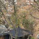 현충탑샘물 이미지