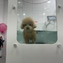 눈보뛰 프리미엄 이미지