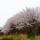 풍암호수공원 이미지