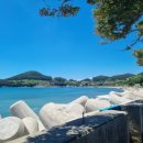 돌고래펜션야영장 이미지