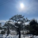 금반농장 이미지