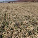 강서체육공원 이미지