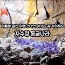 (주)영남알프스레져 | 곳 | 이번 여름 30도 넘으면 꼭 가봐야 하는 울산여름여행필수코스, 자수정 동굴나라 보트 이용 솔직 후기