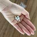 파스타파니 이미지