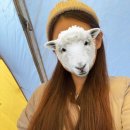 시리살롱 이미지