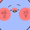토라식당