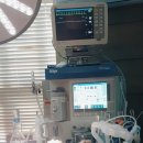 두리종합동물병원 이미지