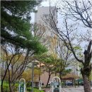 대박공인중개사사무소 | 신뢰와 전문성으로 송강동 부동산의 길잡이를 만나다, 대박공인중개사사무소