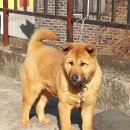 우리두리 이미지