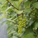 동환농장 이미지