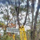 황산면사무소 이미지