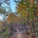 상록체육관 이미지