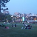 종합운동장 가로수길 이미지