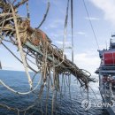 연평농장 이미지