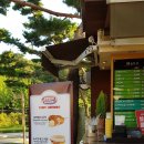 솔바람뜰(국립현대미술관) 이미지