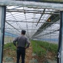 부암농장 이미지