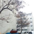 포스코부동산공인중개사사무소 이미지