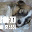 원효동물병원 이미지