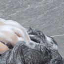 에이퍼센트 이미지
