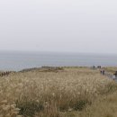 산록2 이미지