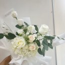 상남동246 이미지