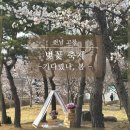 고창오락실 | [전남 고창] 광주 근교 꽃놀이 고창 벚꽃 축제 방문 후기(개화 현황, 주차, 먹거리)