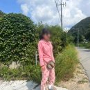 에이스펜션 이미지