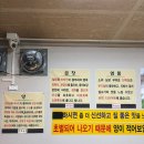 세종 조치원 현지인 곱창 맛집 / 대흥곱창 내돈내먹