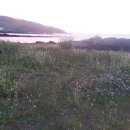 소박한바당쉼터 이미지