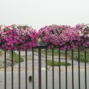 퀸스메디소아청소년과의원 이미지