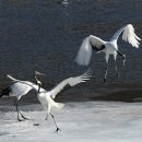 (주)백학 이미지