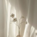 부산 웨딩 아이폰스냅 업체 비교(30개 업체 리스트업)