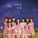 사진전시회 | 2025 DDP 창작의 정원 전시회 후기 사진 찍기 좋은 공간 포함