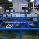 중앙시장(B동) | 강원도 삼척 여행 필수 코스 <삼척중앙시장> 먹거리 포장 후기 (부영닭강정, 바다회활어, 달라스버거)