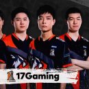 페트리코 이미지