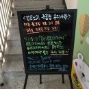 노리튼