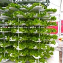 방식농장 이미지