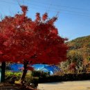 내4리 마을회관 이미지